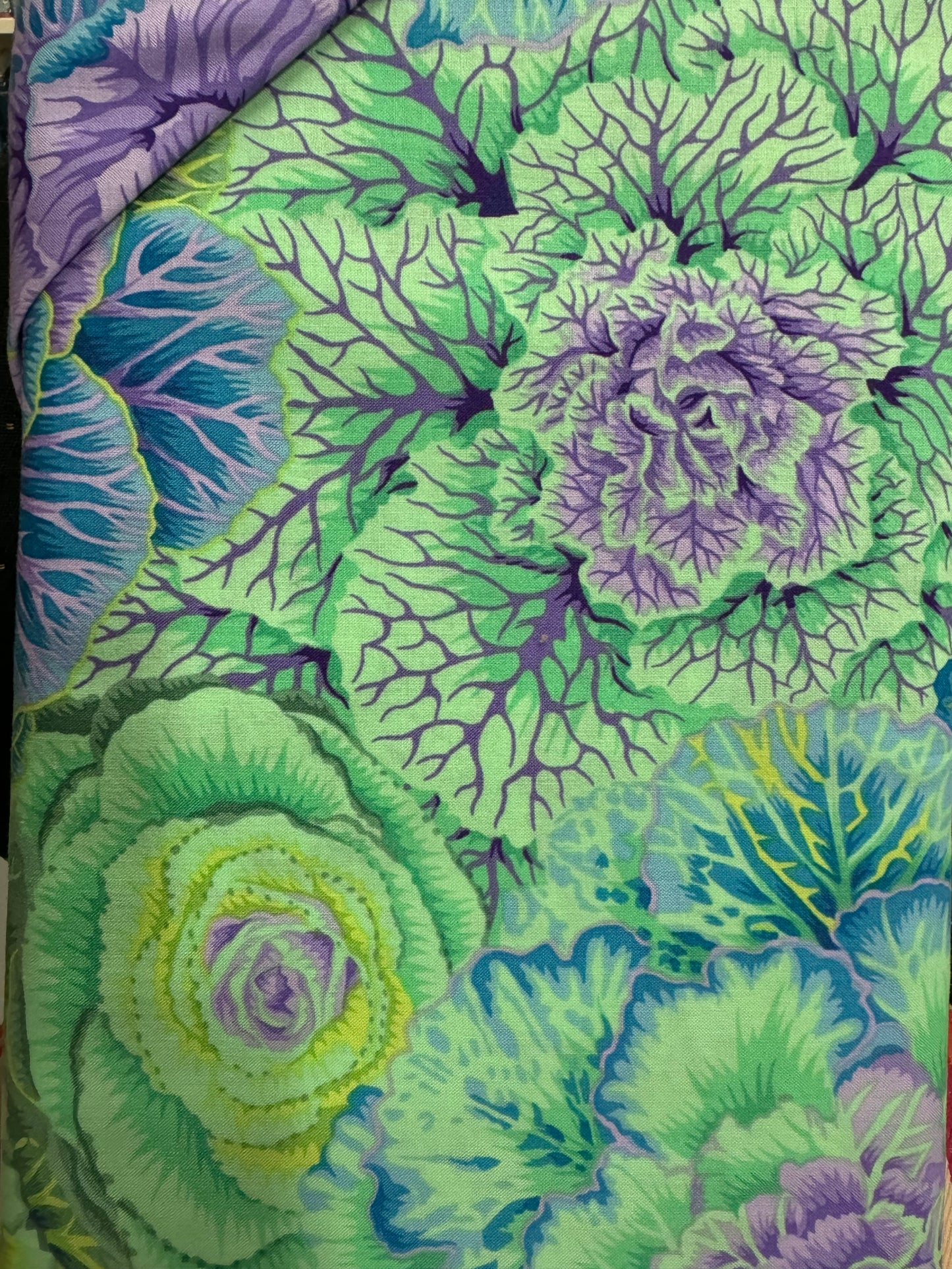 Kaffe Fassett Brassica - Green