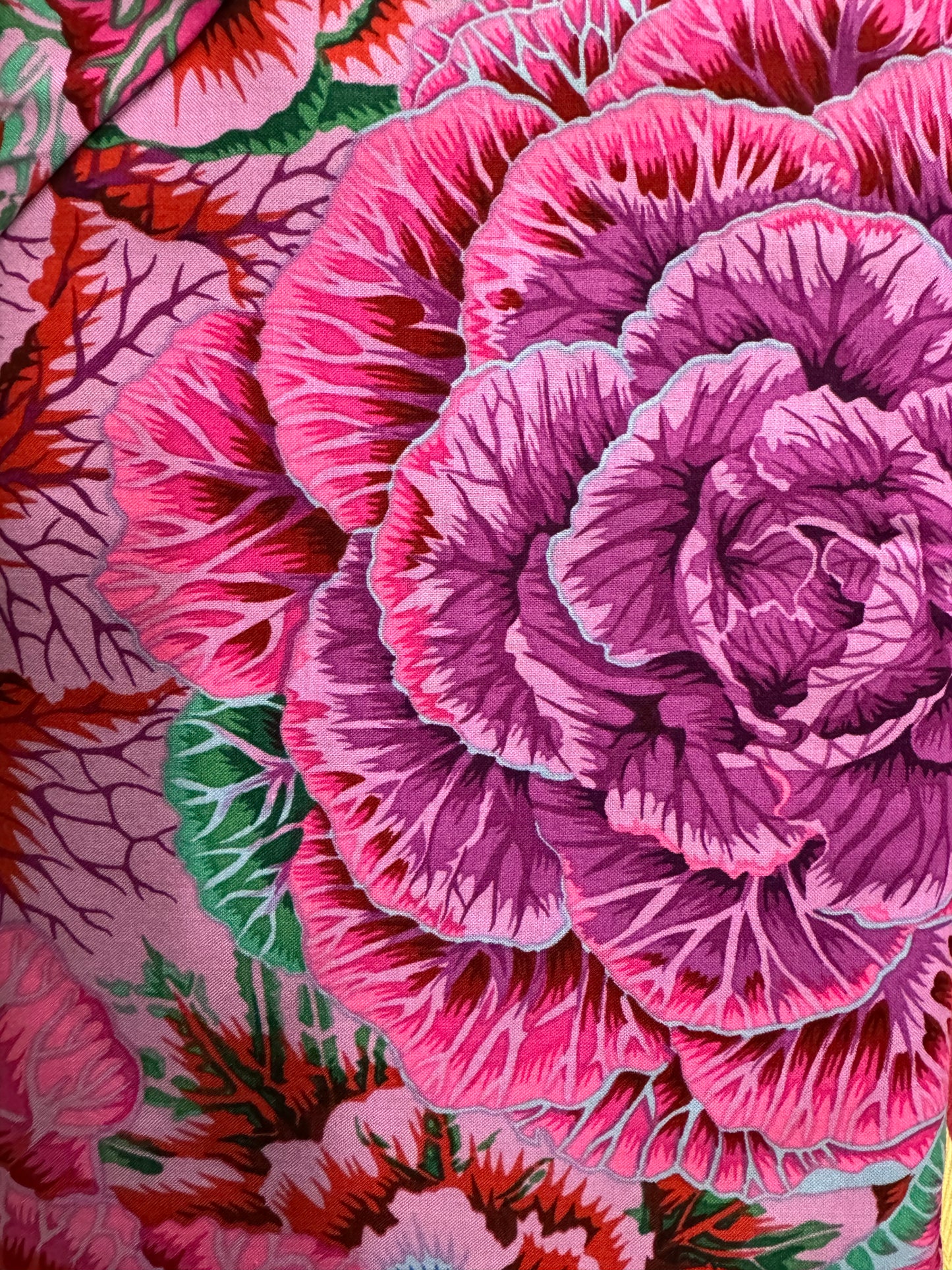 Kaffe Fassett Brassica - Magenta