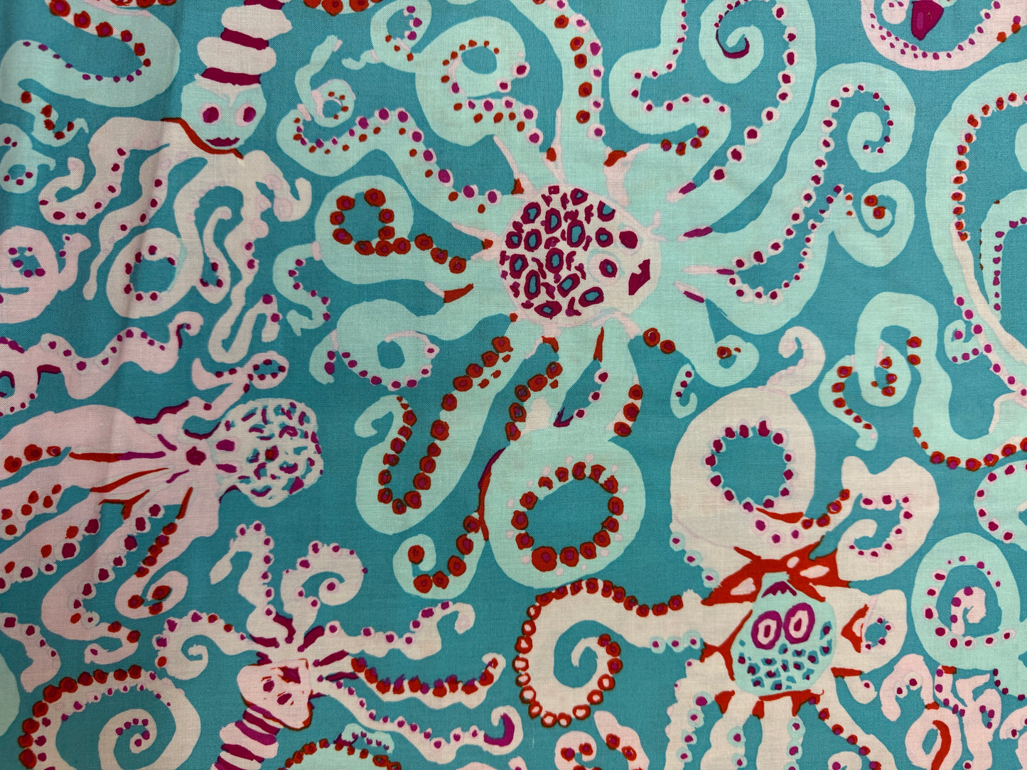 Kaffe Fassett Octopus - Turquoise