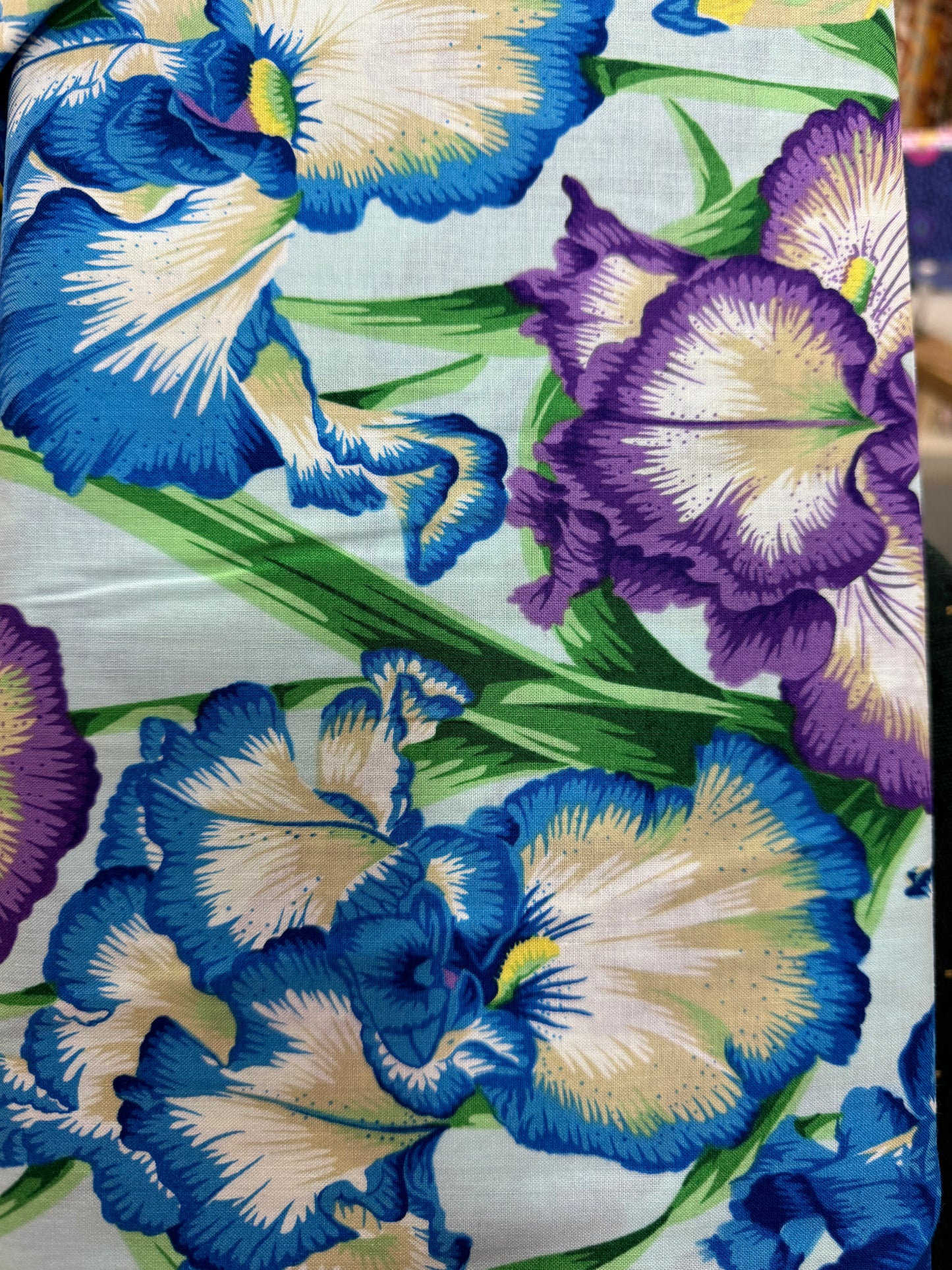 Kaffe Fassett Bearded Iris - Cool