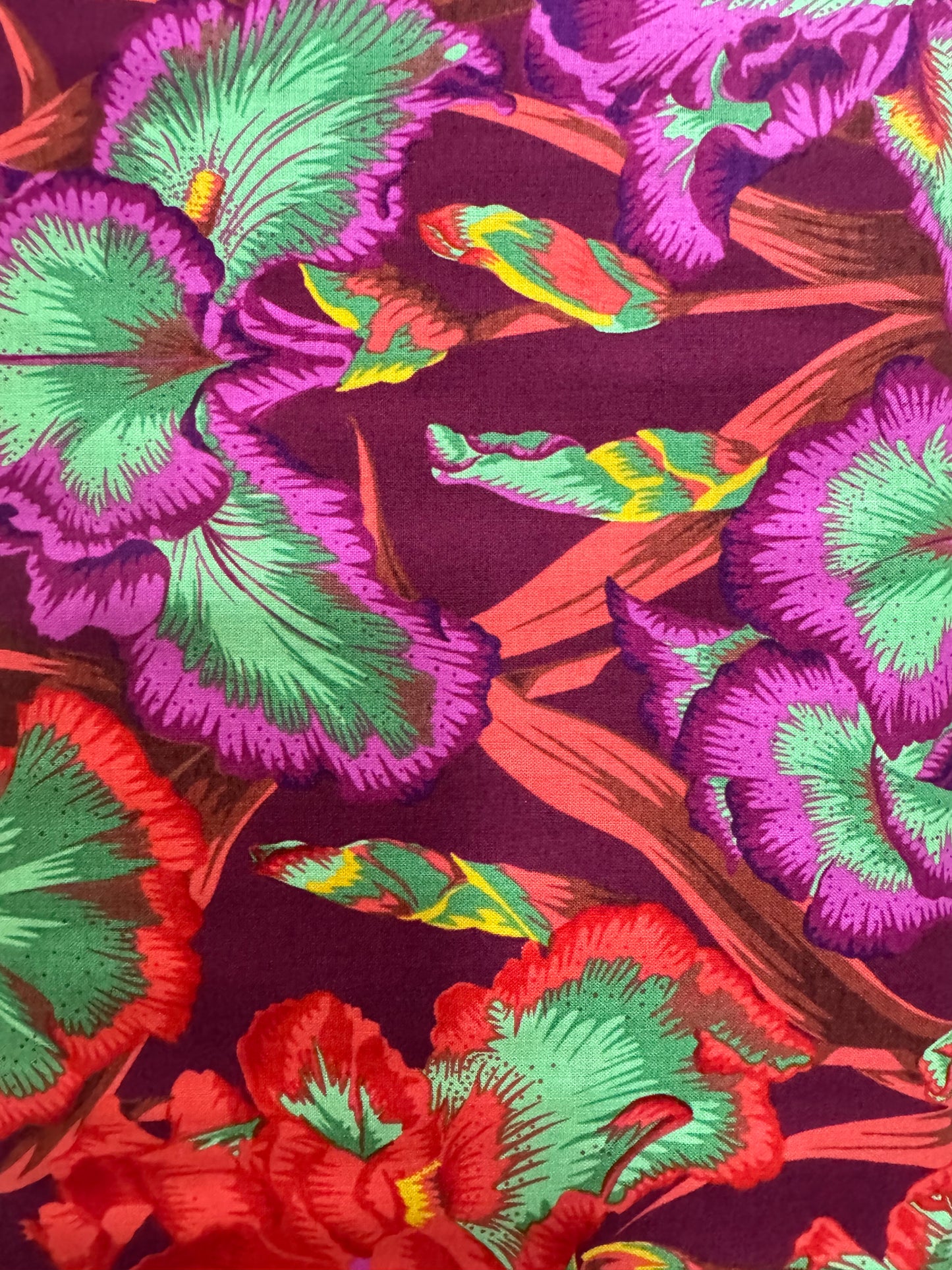 Kaffe Fassett Bearded Iris - Red